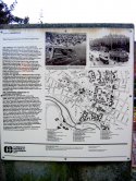Harvard Square Cambridge Common Old Cambridge Transformation Post- (thumbnail)